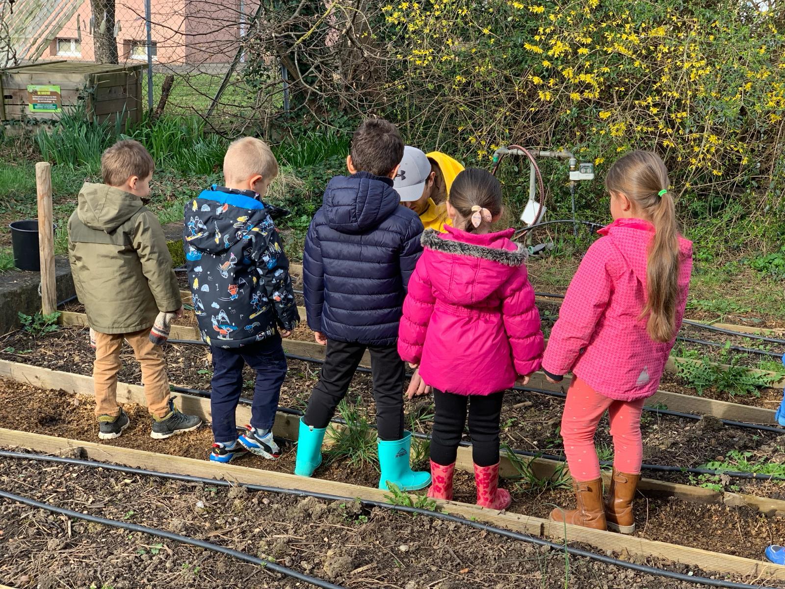 Ressource pédagogique